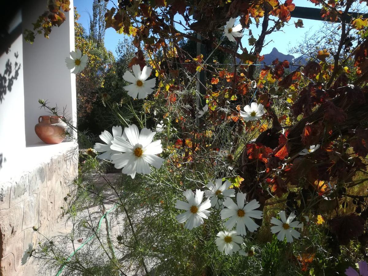 Villa Nanin ตีลการา ภายนอก รูปภาพ